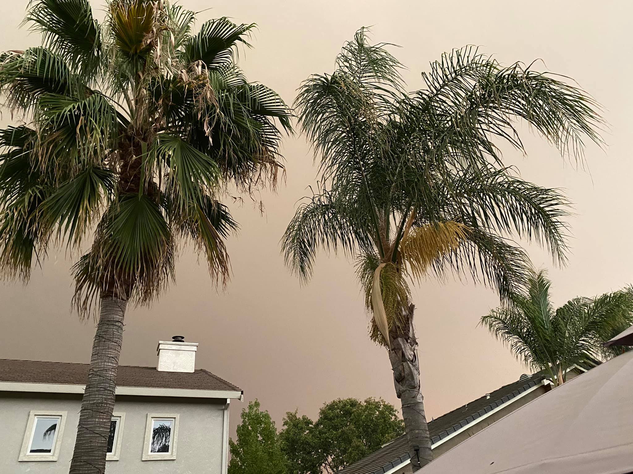 Smoke over a Bay Area neighborhood