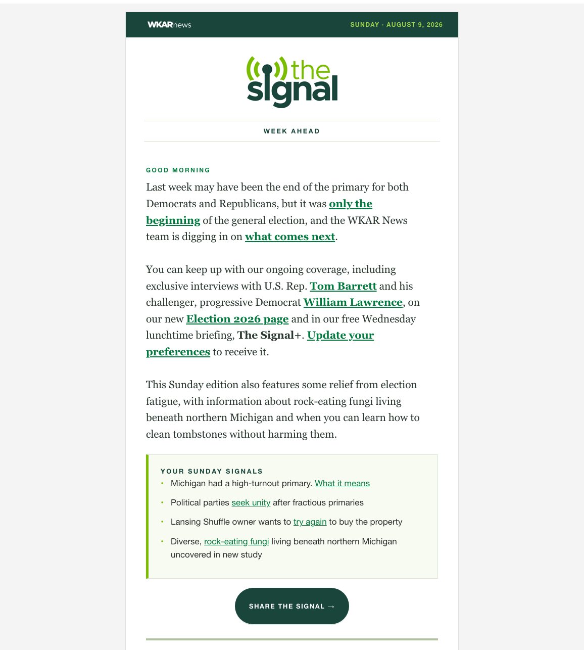 An authentic Sunday Signal newsletter edition