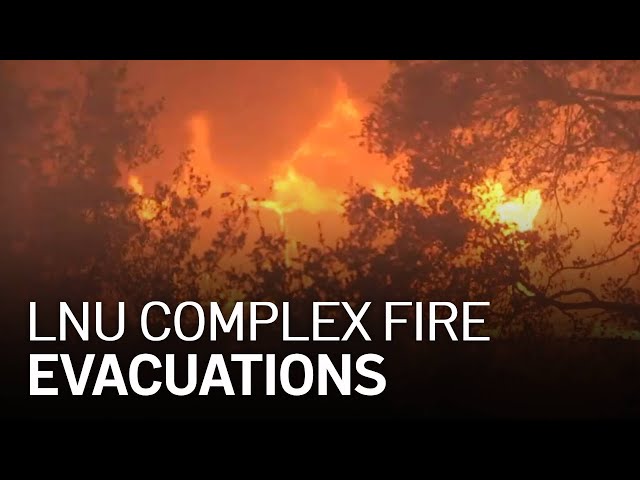 LNU Complex evacuations and wildfire coverage